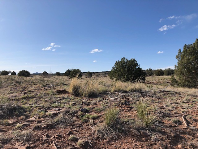 160 Acres 104