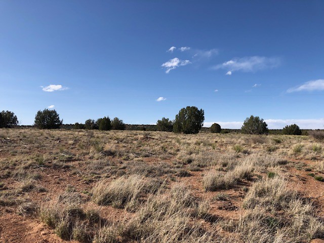 160 Acres 104