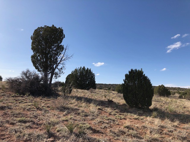 160 Acres 104