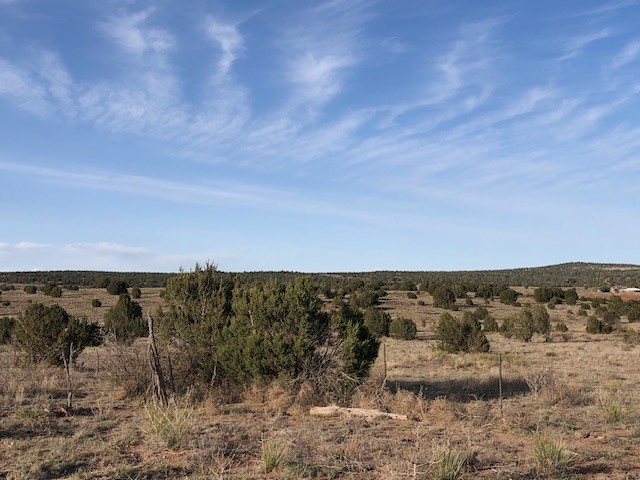 160 Acres 104