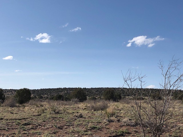 160 Acres 104