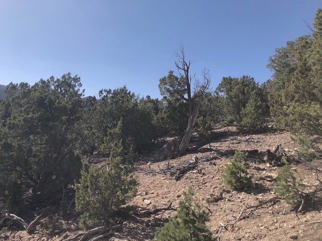 Lots 20,21,22 Mountain Road