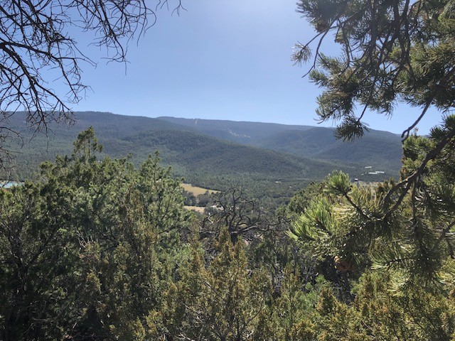 Lots 20,21,22 Mountain Road