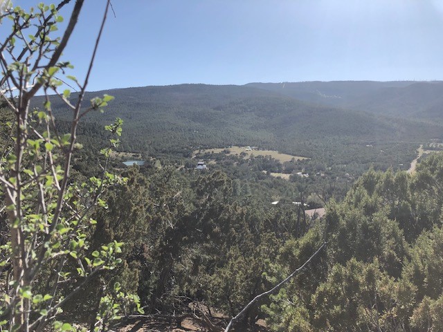 Lots 20,21,22 Mountain Road