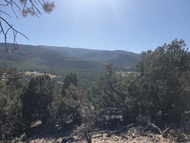 Lots 20,21,22 Mountain Road