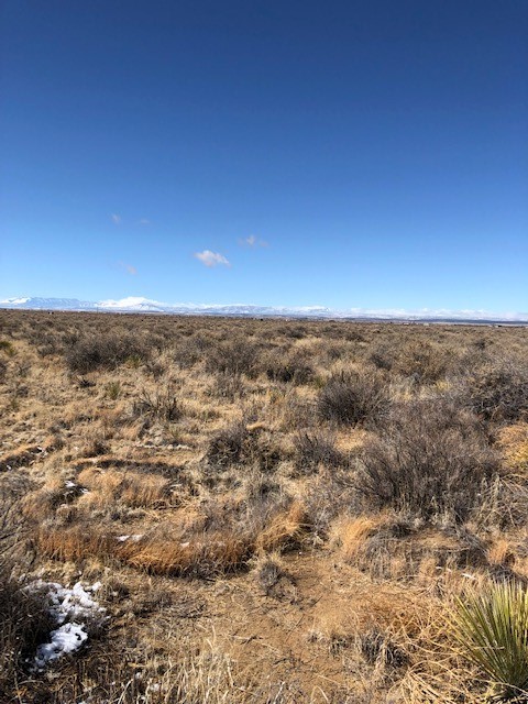 10 Acres Burroughs Road