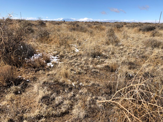 10 Acres Burroughs Road