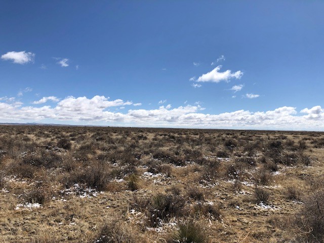 10 Acres Burroughs Road