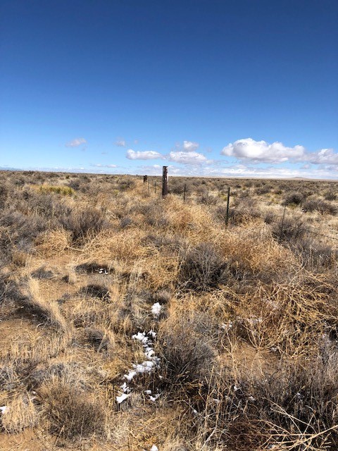 10 Acres Burroughs Road