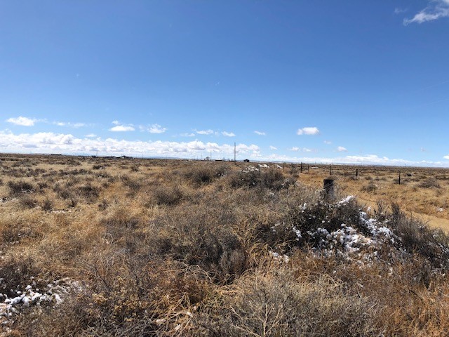 10 Acres Burroughs Road