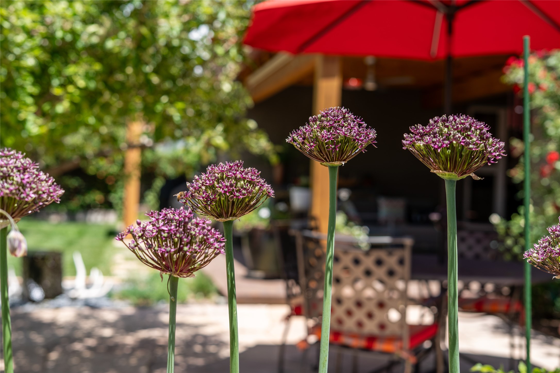 114 La Placita Circle