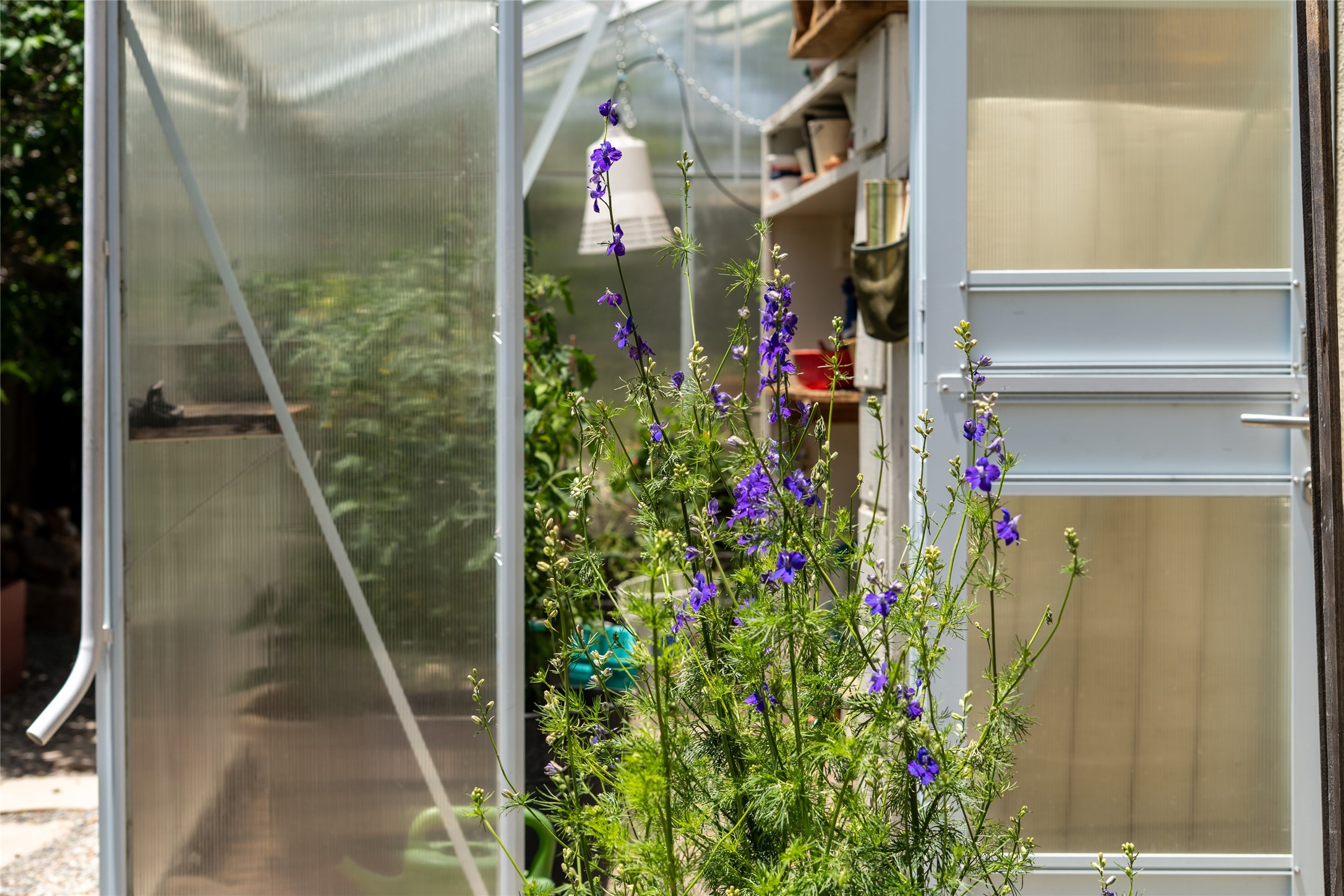 114 La Placita Circle