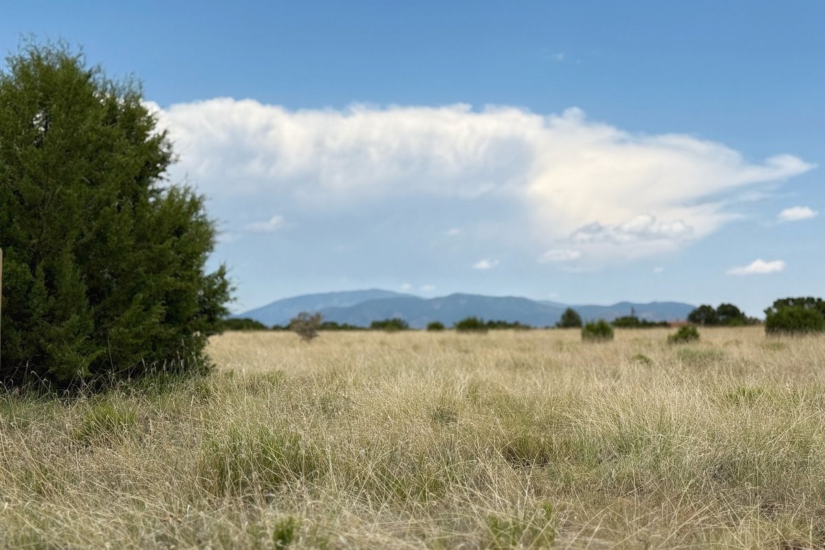 12 Sierra Lavanda