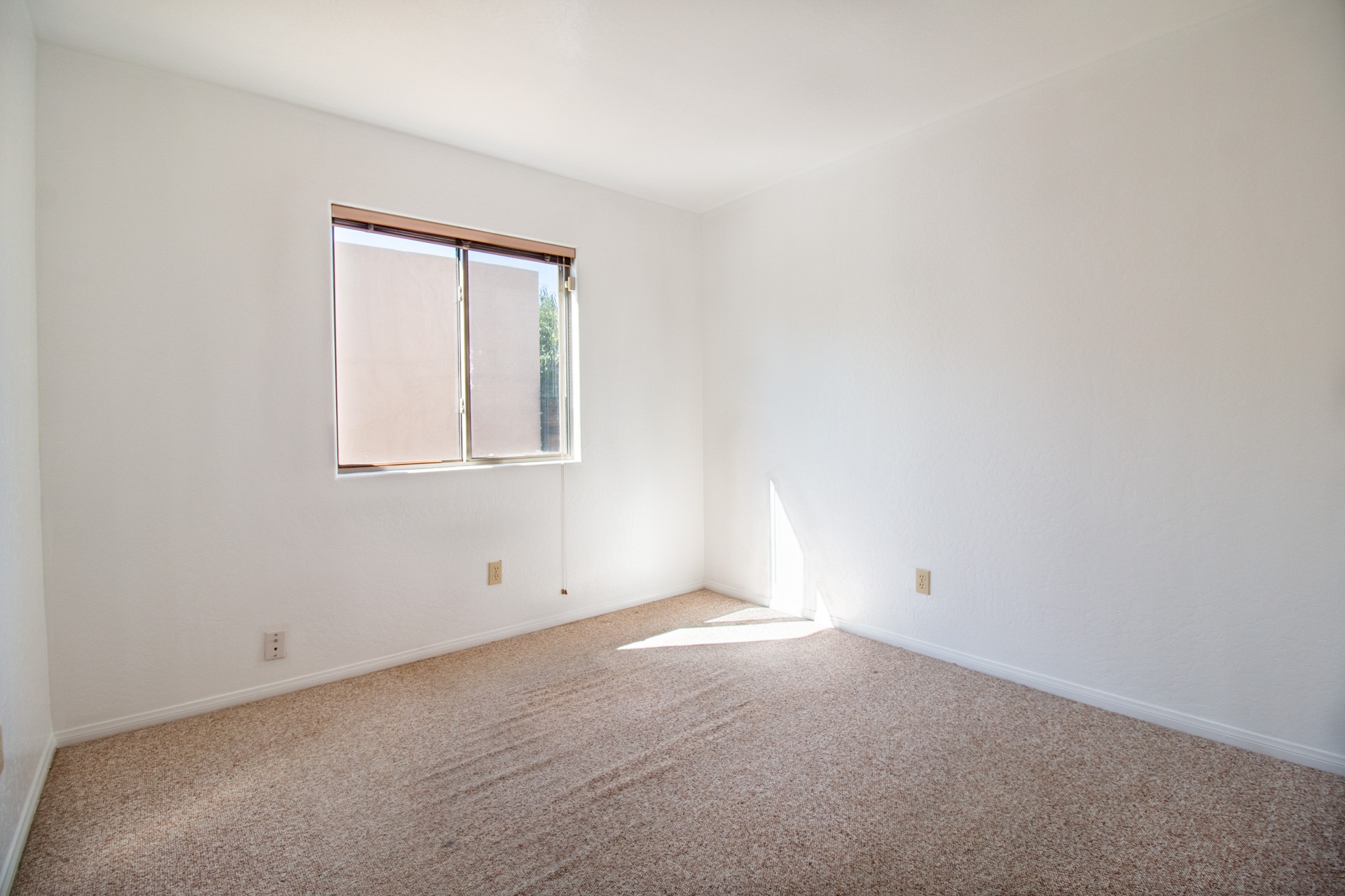 6365 Entrada De Milagro