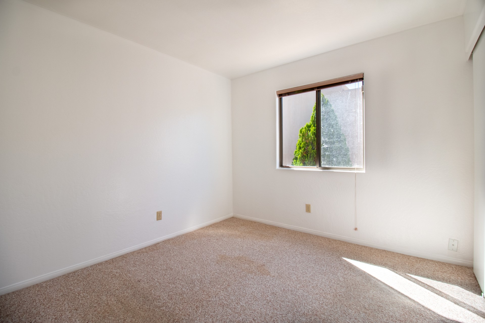 6365 Entrada De Milagro