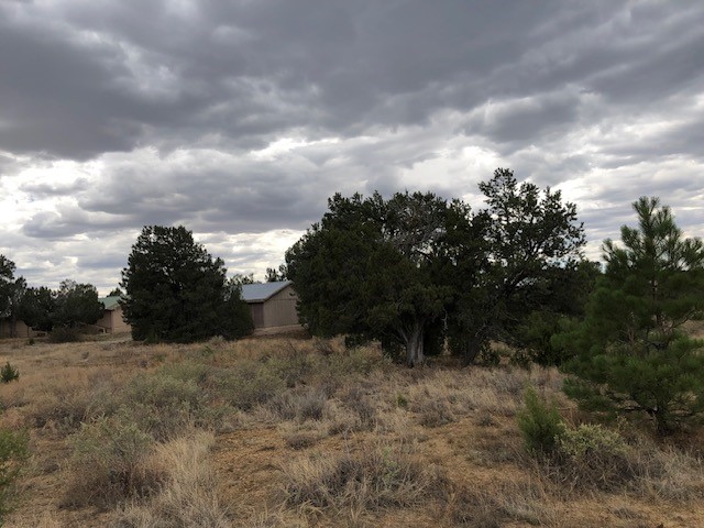 394 Candy Kitchen Road
