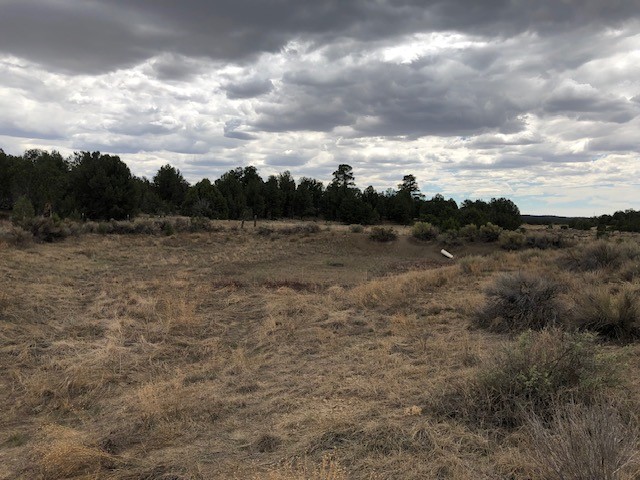 394 Candy Kitchen Road