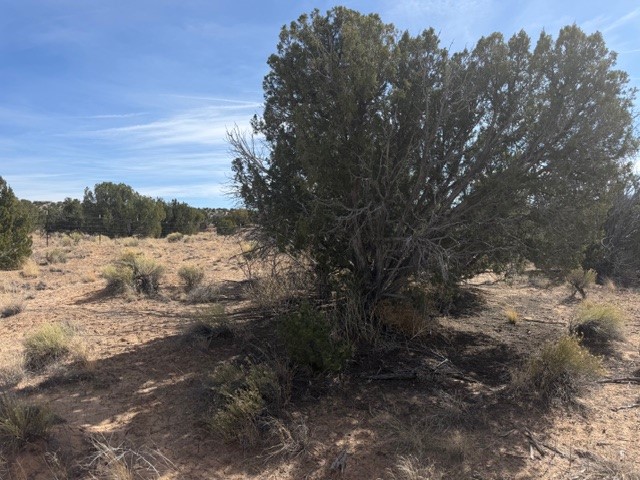 0.69 Acre Buffalo Trail Extension