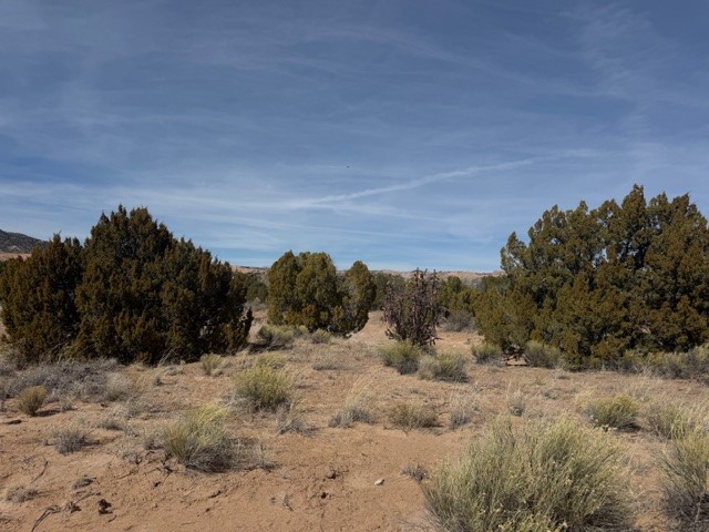 0.69 Acre Buffalo Trail Extension
