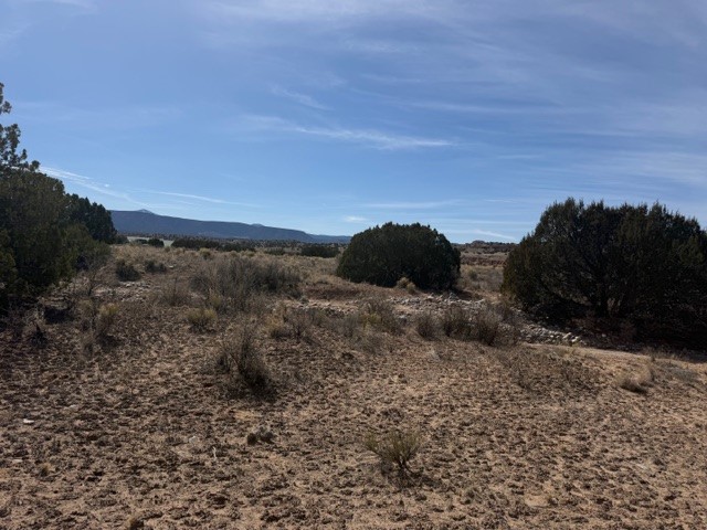 0.69 Acre Buffalo Trail Extension