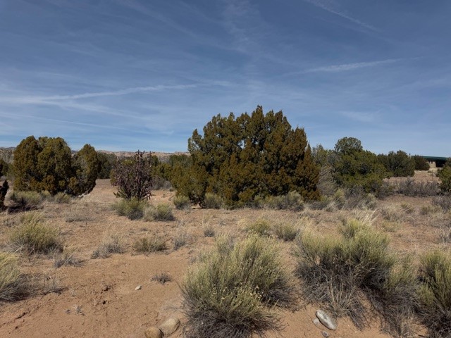 0.69 Acre Buffalo Trail Extension