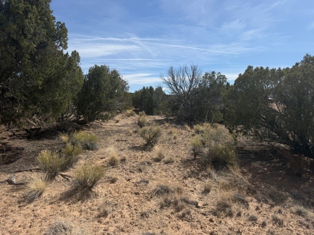 0.69 Acre Buffalo Trail Extension