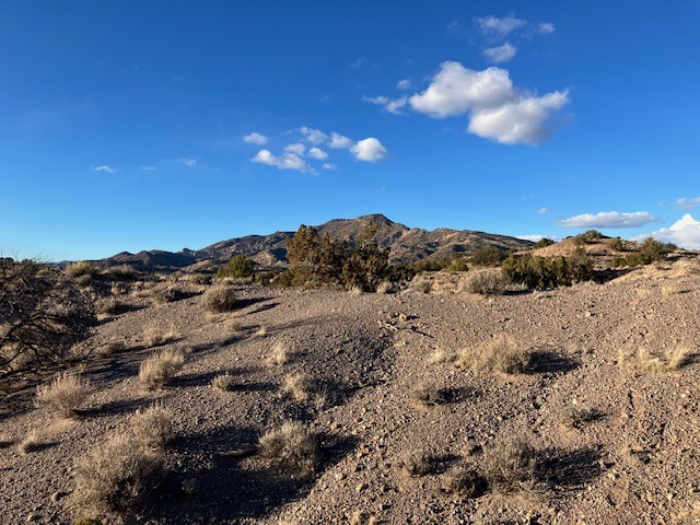 9 Acres Dulce Street