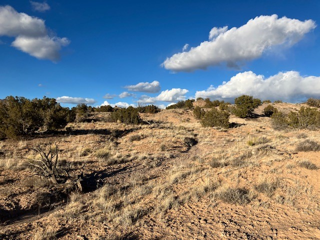9 Acres Dulce Street