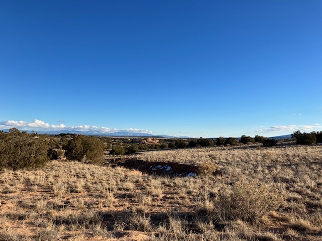 9 Acres Dulce Street