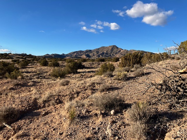9 Acres Dulce Street