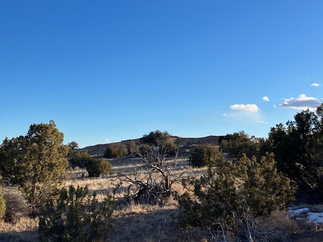 9 Acres Dulce Street
