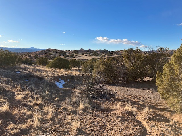 9 Acres Dulce Street