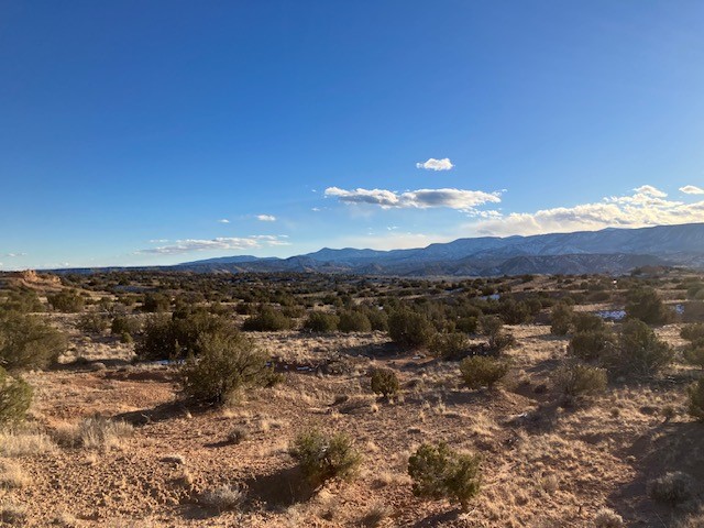 9 Acres Dulce Street