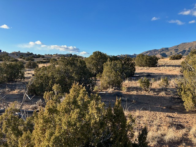 9 Acres Dulce Street