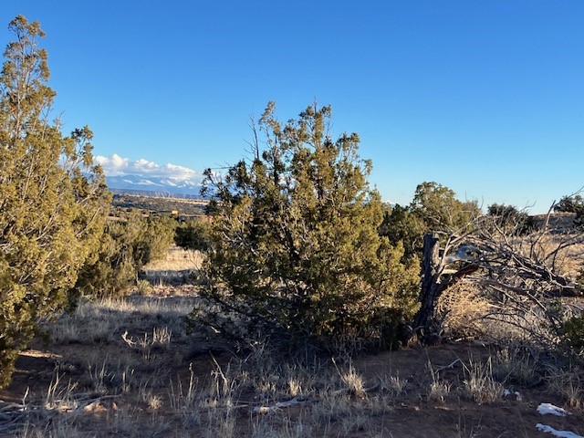 9 Acres Dulce Street