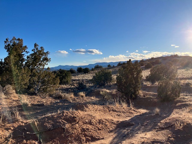 9 Acres Dulce Street