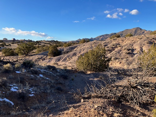 9 Acres Dulce Street