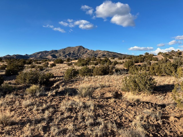 9 Acres Dulce Street