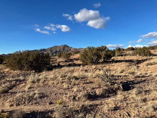 9 Acres Dulce Street