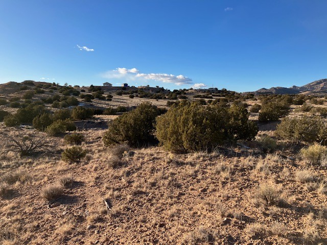9 Acres Dulce Street