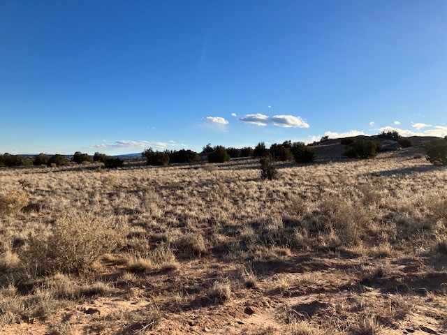 9 Acres Dulce Street