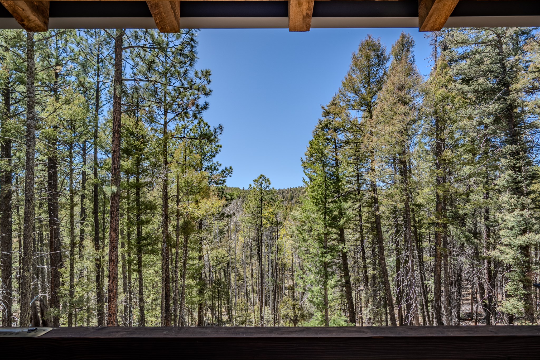 245 Sawyer Mesa Road