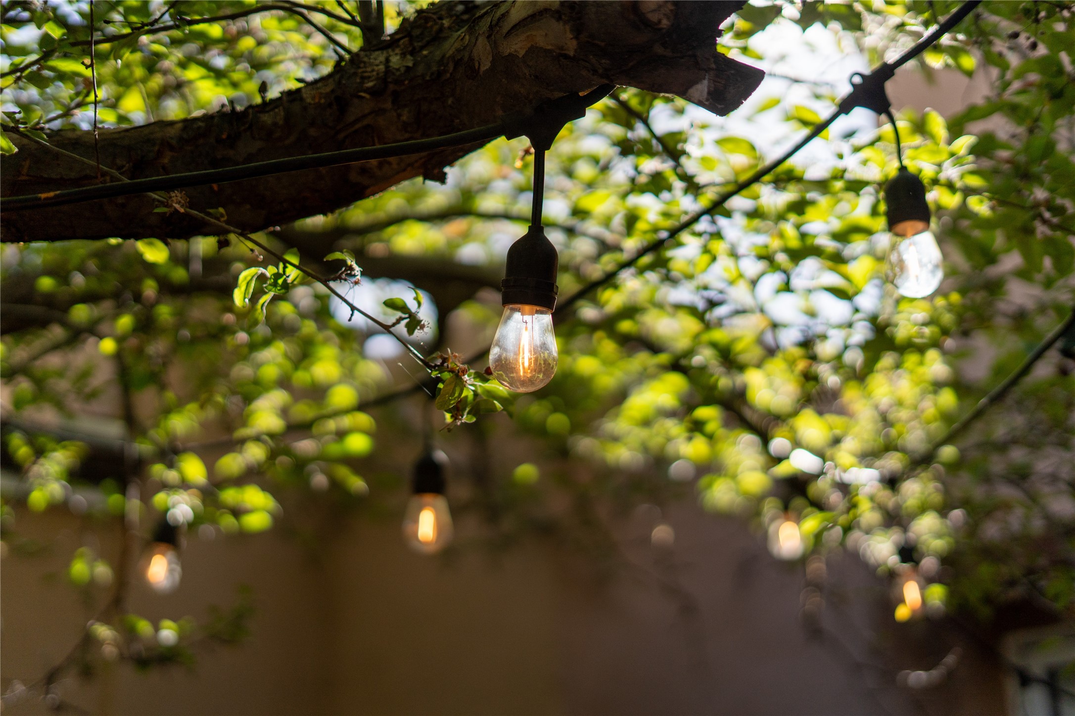 2702 Plazuela Serena