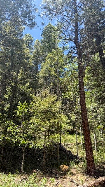 4.29 Acres Sawyer Mesa Road