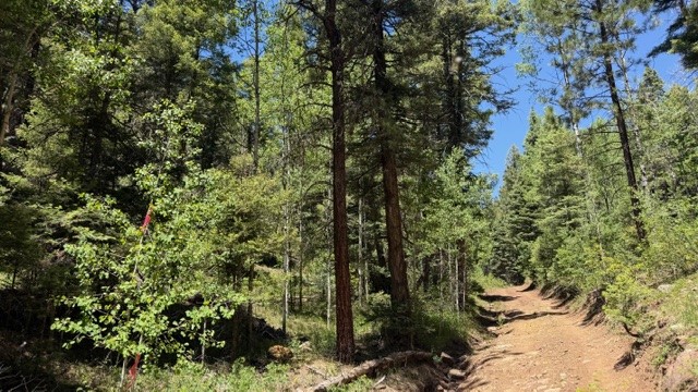 4.29 Acres Sawyer Mesa Road
