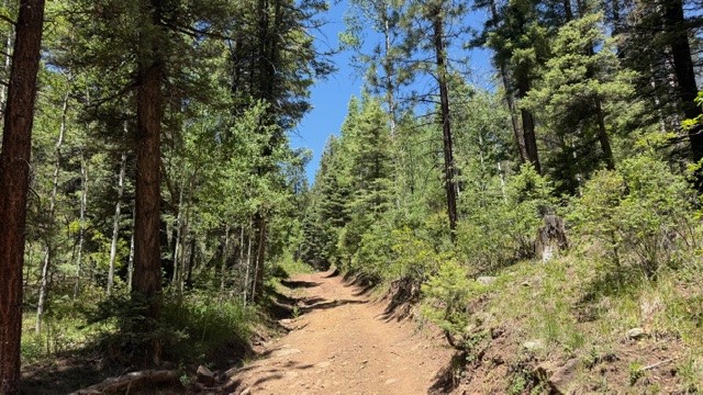 4.29 Acres Sawyer Mesa Road