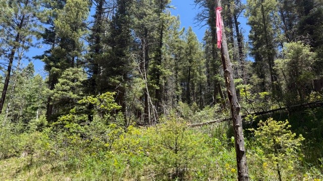 4.29 Acres Sawyer Mesa Road