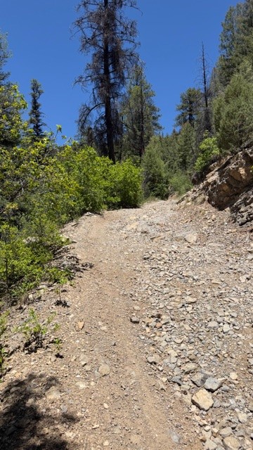 4.29 Acres Sawyer Mesa Road