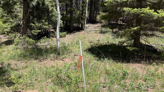 43.9 Acres Sawyer Mesa Road