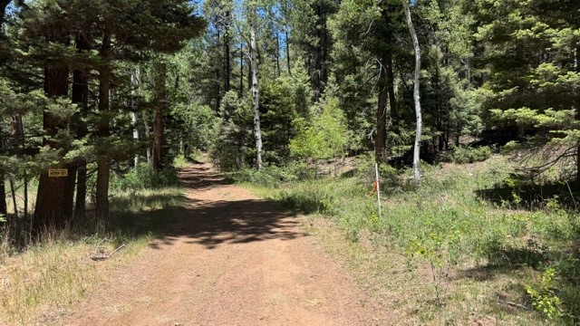 43.9 Acres Sawyer Mesa Road